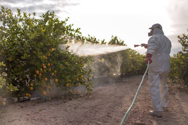 Best Exterminator Services  in University Place, WA