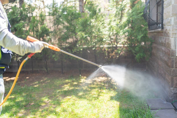 Flea Control Services in University Place, WA