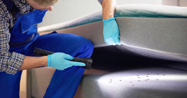 Best Mosquito Control Services  in University Place, WA