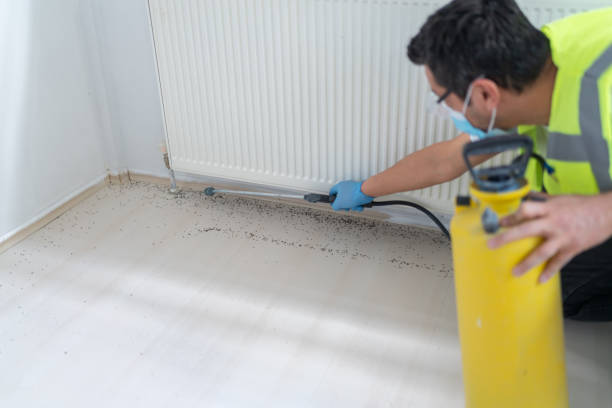 Best Pest Control Treatment  in University Place, WA